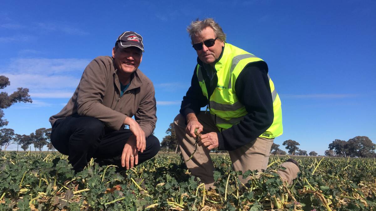 ON THE GROUND: CSIRO's chief food research scientist John Kirkegaard and MSM Milling director Bob Mac Smith. Photo: SUPPLIED
