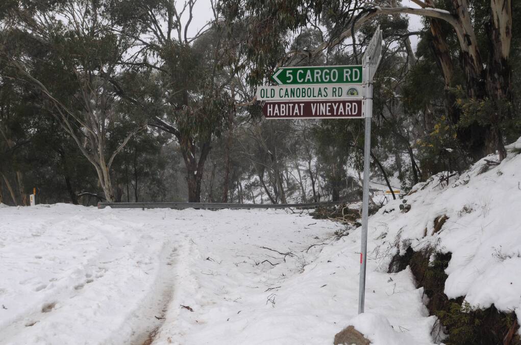 NO ACCESS: Mount Canobolas was closed on Friday because of predicted snowfall which did not arrive.