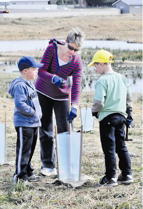 DOING THEIR BIT: Joe, Tanya and Tom Warren plant one of the 1000 trees which were planted at the Ploughman’s wetland during National Tree Day. Photo: JUDE KEOGH   0731tree3