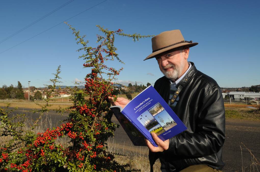 BIG HELP: Borenore author Bruce Auld with his new book. He believes it will be a great asset to help recognise flora like this colourful firethorn bush while travelling on the roads in Australia.   Photo: STEVE GOSCH  0704sgbruce1