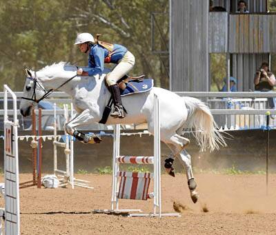 OUT TO IMPRESS: Cumnock’s Holly Gavin rides Yamba during the NSW Pony Club One Day Event in Geurie.