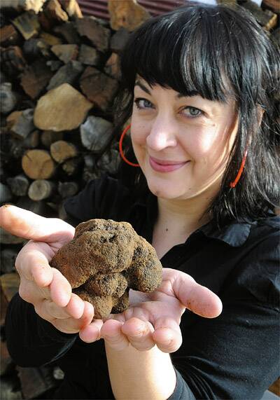 EARTHY DELIGHTS: The unearthing of this enormous truffle at Borrodell on the weekend coincided with the Australian Truffle Growers’ Association conference in Orange.