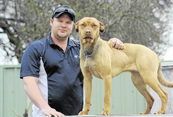 MISUNDERSTOOD: Chris Bleakley says his pit bull terrier mastiff cross Izzy is a much-loved family member. Photo: STEVE GOSCH                                0819sgdog