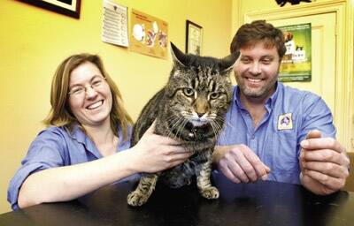 CAT CALL: Veterinary nurse Regan Ferguson and veterinarian Geoff Freeth, with Isaac, would like to see desexing cats mandatory.