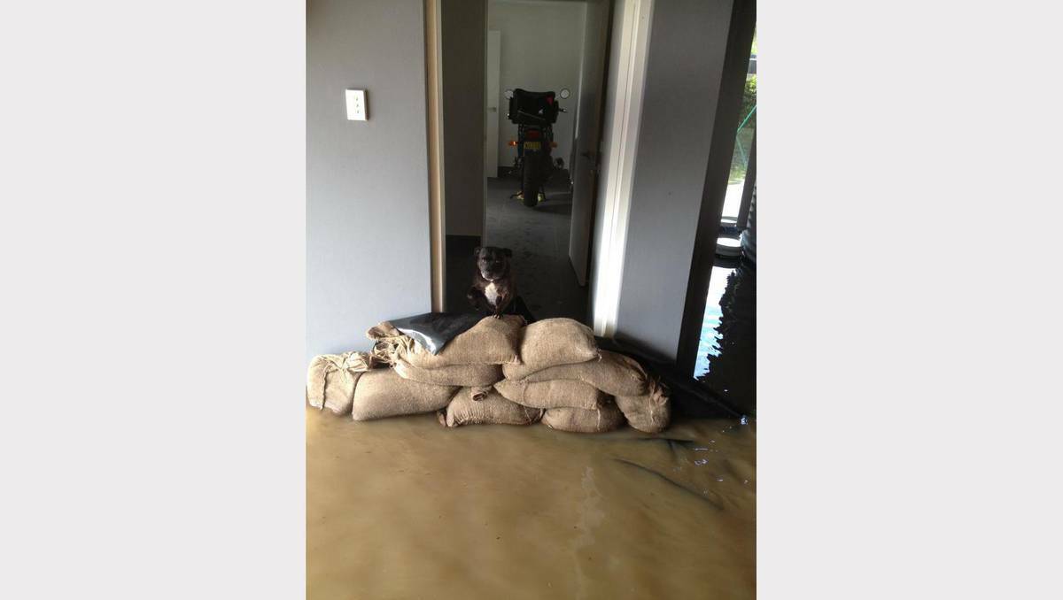Residents capture flooding in and around their own homes in Port Macquarie, on the NSW North Coast. Photo: CLINTON WALL