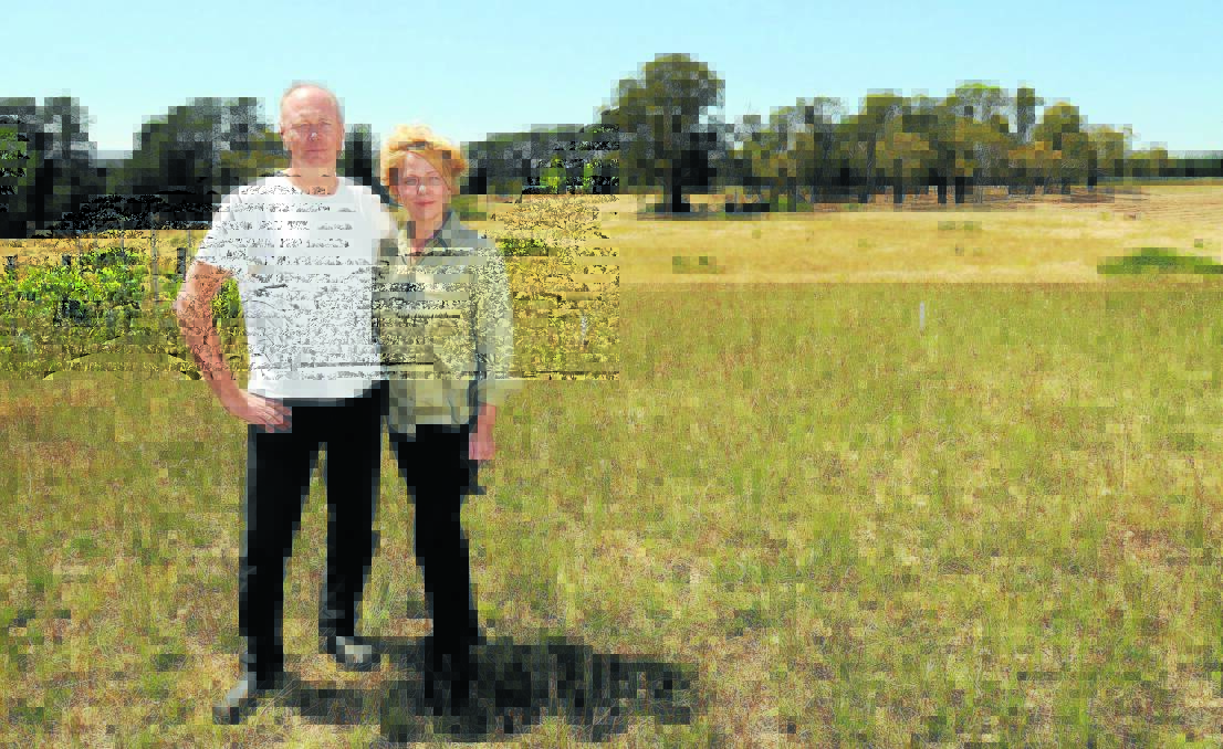 TOWER POWER: Phil and Rochelle Kerney have not given up fighting to have a proposed NBN tower relocated onto neighbouring state forest land, instead of 200 metres from their Berrilee Road property. Photo: STEVE GOSCH 0117sgtower1