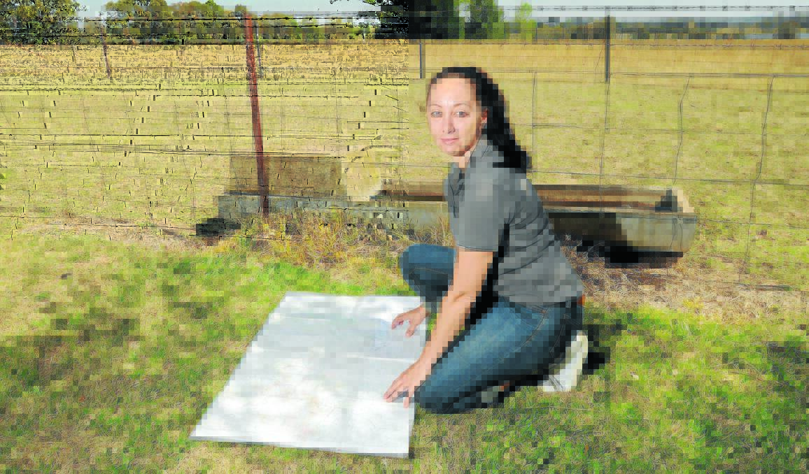 RABBIT TRAP: Dr Tarnya Cox is looking for landholders to take part in the NSW Department of Primary Industries (DPI) rabbit control program. Photo: STEVE GOSCH 		     0115sqrabbits