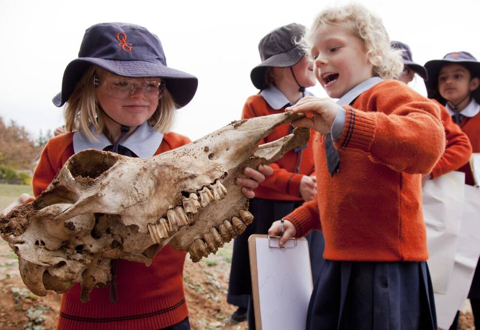 DIGGING IN THE DIRT: Lucy Martin and Jemma Curtin discover a T-Rex. Top left: Olsen Kennedy and Audrey Somerville get down to bare bones. Photos: LEN ELLIOTT.
