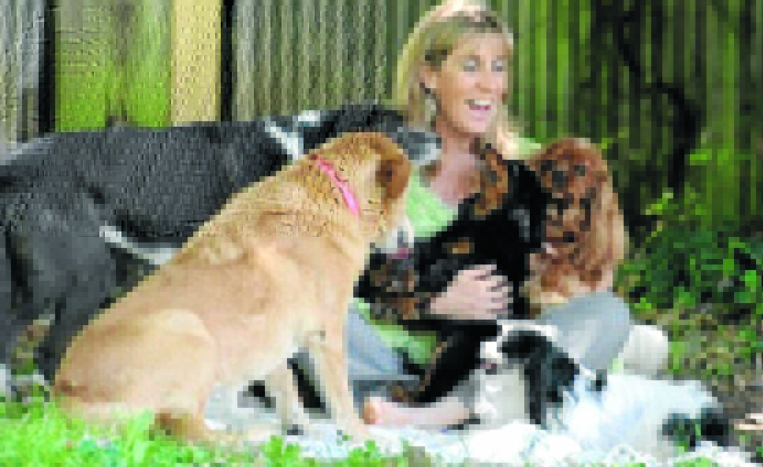 THE DOG LADY: Dog trainer Debi Coleman says it is possible to reduce the number of dog attacks in the Orange local government area but owners need to be pro-active. 