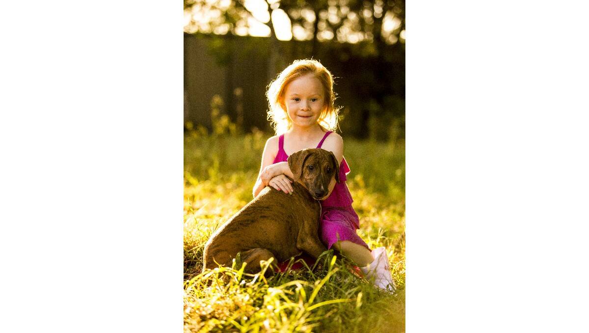 UNUSUAL BREED: Amber Erskine, 5, with her pet dog Maverick who is an azawakh, a rare sighthound dog that originates from Africa.  Photo: FFIRE PHOTOGRAPHY