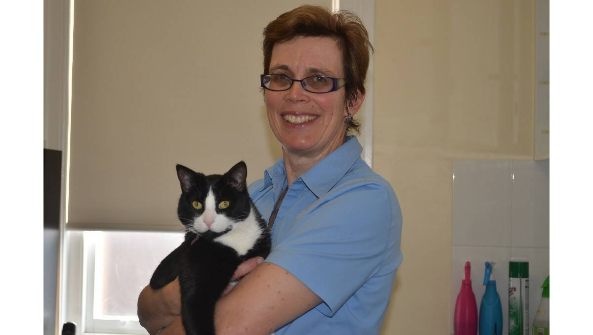 UNDER CONTROL: Veterinary surgeon Judith Carney keeps her cat Sylvester indoors at night and encourages other cat owners to do the same. Photo: JANICE HARRIS              0904jhsylvester1