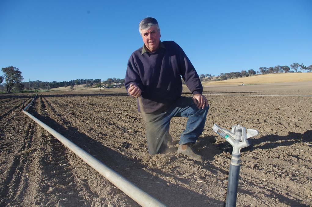 BATHURST: Drought conditions meant Lagoon market gardener Jeff McSpedden had to irrigate his fields to plant his corn crop this year. 112713bwjeff