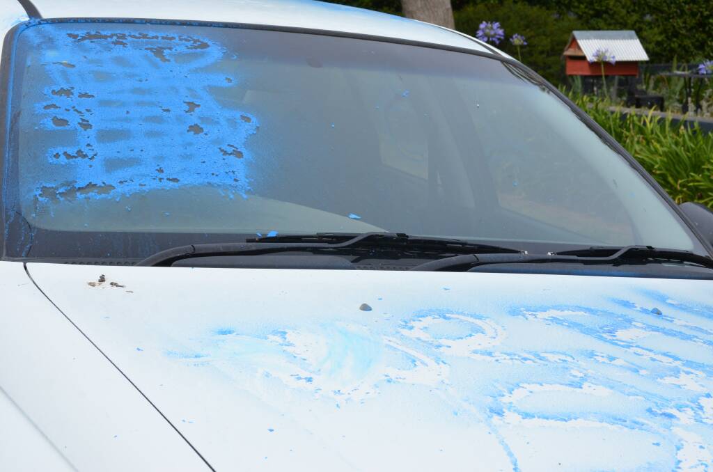 BLUE ATTACK: Vandals struck Rowan Street and Coronation Drive on New Year's Eve. Photo: JANICE HARRIS