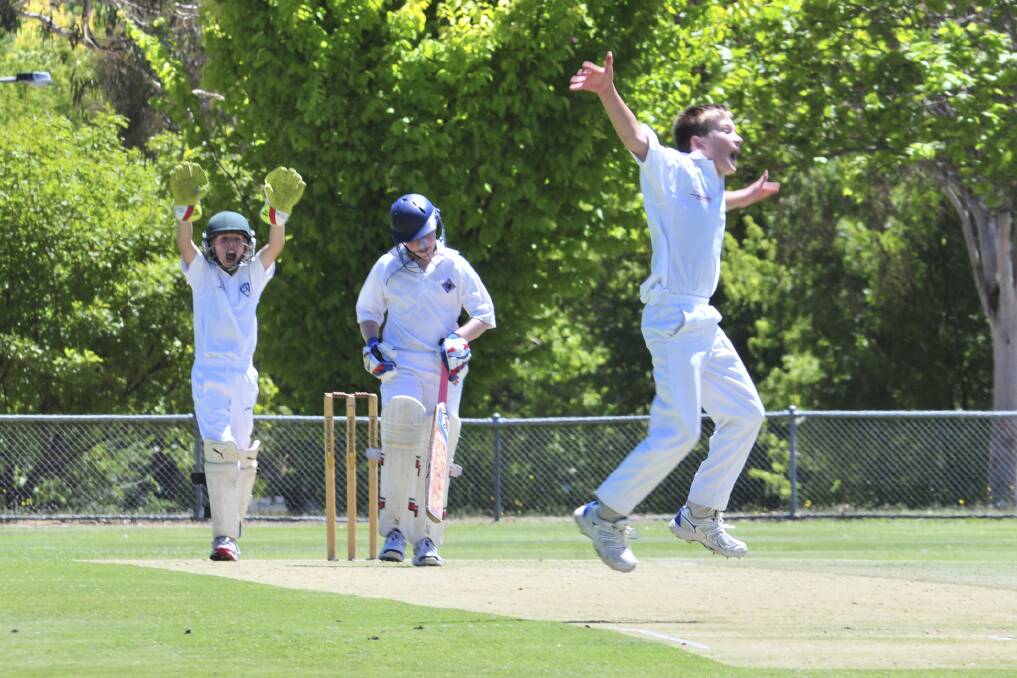 ACT under 12's bowler Jack Allen's appeals for the wicket of North Shore's Ben Rae is successful at Riawena Ocal on Monday. Photo: JUDE KEOGH