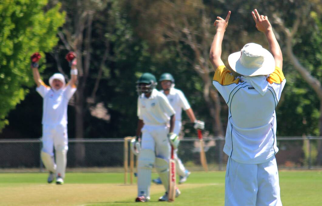 South Coast appeal in vain for an ACT Gold wicket in their match at Riawena Oval on Wednesday. Photo: MELISE COLEMAN