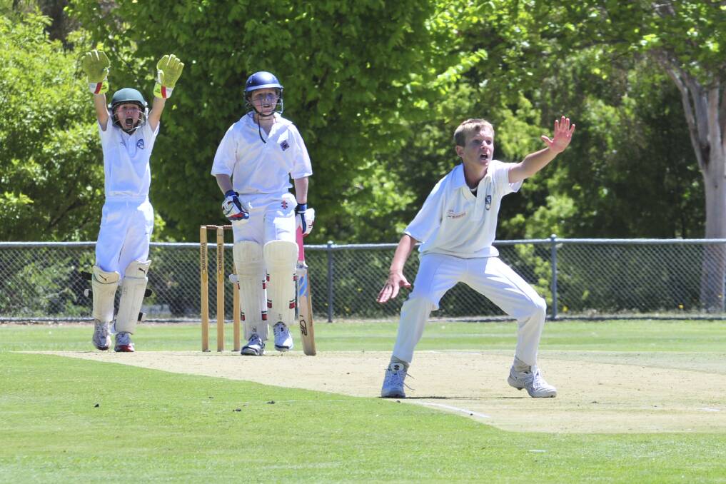 ACT under 12's bowler Jack Allen appeals for the wicket of North Shore's Ben Rae at Riawena Ocal on Monday. Photo: JUDE KEOGH