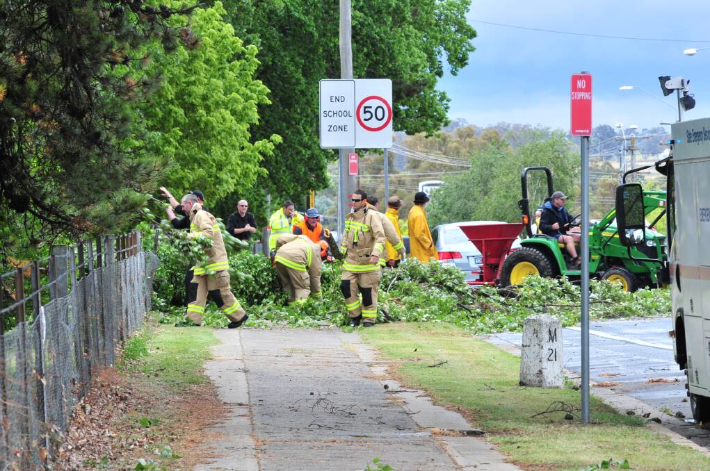 CLEAN UP: A fallen tree from Duntryleague Golf Club causes chaos on Woodward Street. Photo: JUDE KEOGH