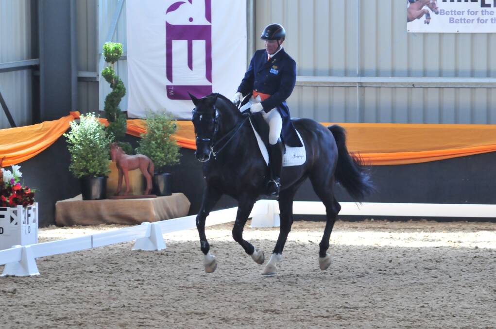 GRACEFUL: Roger Fitzhardinge, on Wisdom, takes on the Dressage with Altitude event at Bradgate Park.