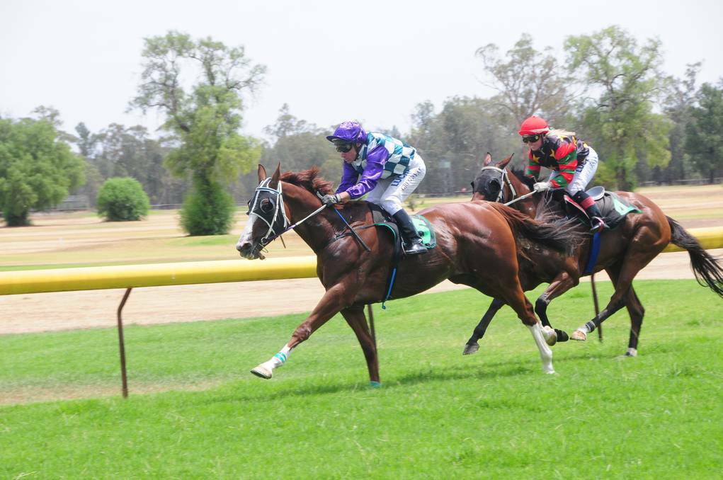 GILGANDRA: Greg Ryan brings Sensational Moment home first in the John and Kate Smith Secretary s Cup at Gilgandra. Photo: LOUISE DONGES