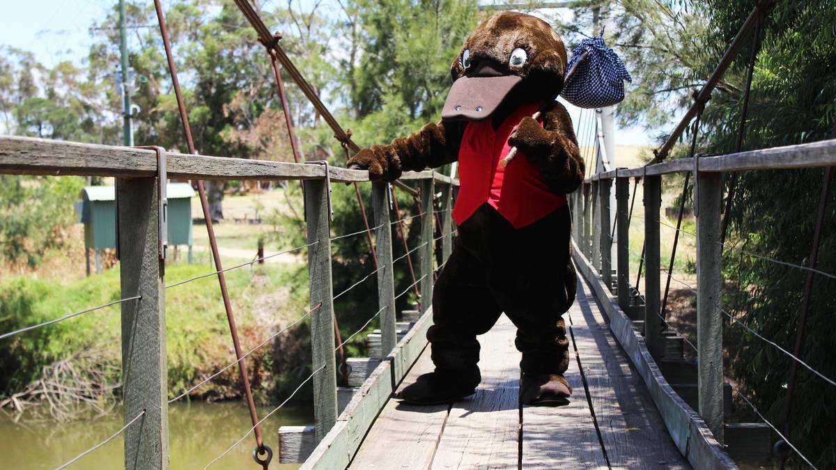 COWRA: 'Freeda the Reader,' the Central West Libraries mascot and most popular platypus is missing and it's up to the kids of Cowra to put their detective skills to the test and track her down.
