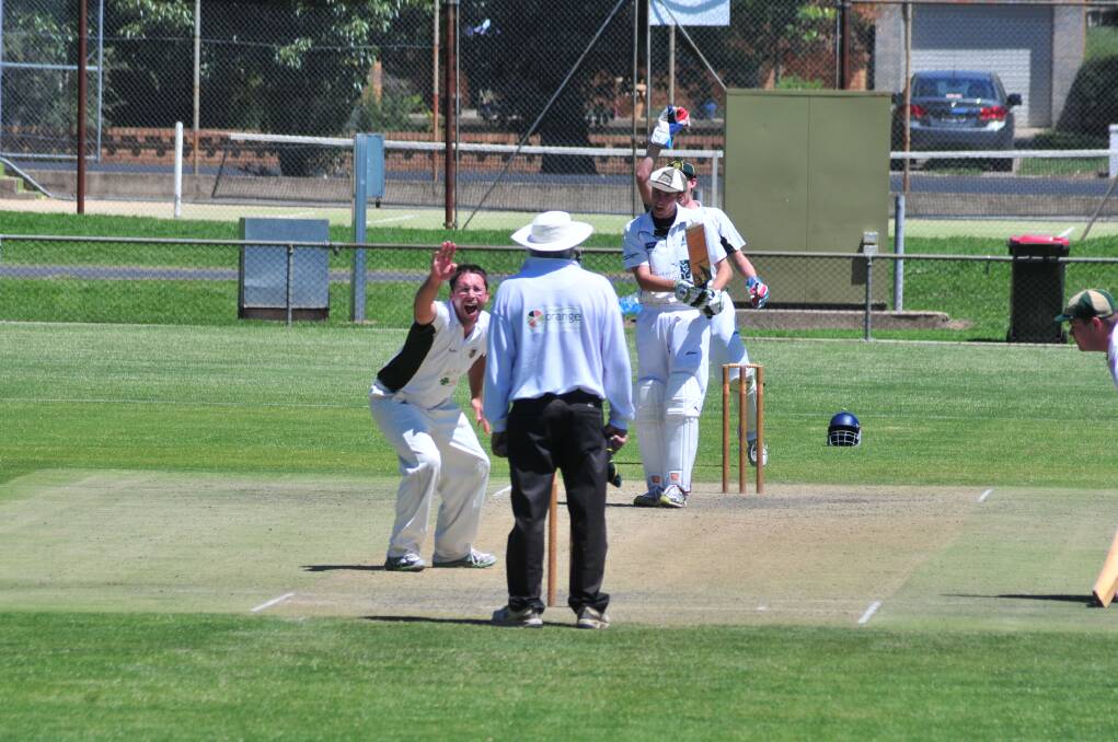GOT HIM: Trent Colley appeals for the wicket of Shaun Grenfell.