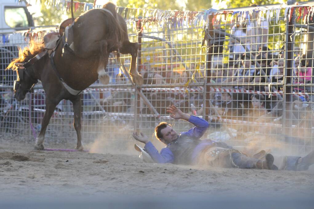 DOWN AND OUT: Dale Wagstaff on Akubra Cowgirl at the rodeo, published on Monday, October 21. Photo: JUDE KEOGH