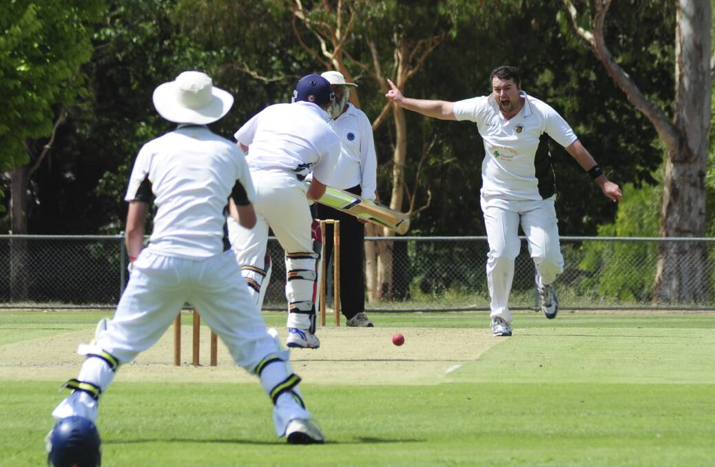 OUT: Chris Novak appeals for the wicket of James Donato.