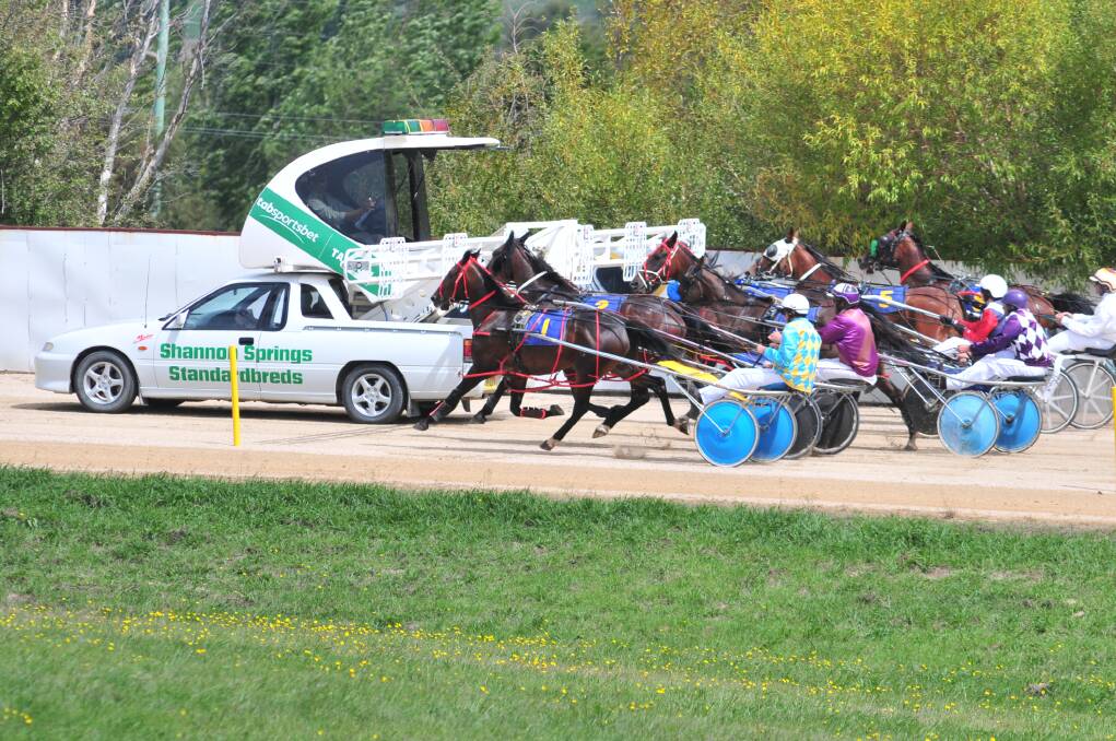 OFF AND RACING – A pacing race starts at the Highland Paceway.