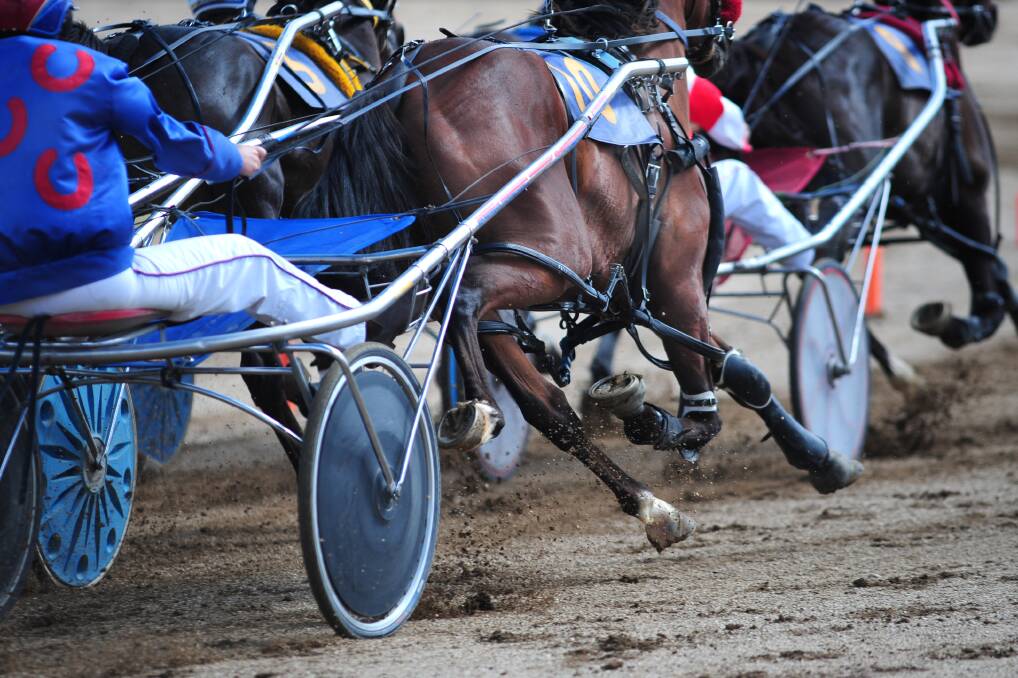 RARE GLIMPSE: Harness racing fans flocked to the Highlands Paceway for a rare day of racing. Photo: STEVE GOSCH