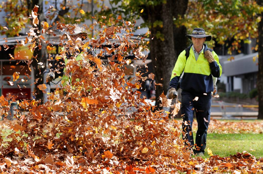 LEAF NOTHING TO CHANCE: Shaune Barnes and Phillip Currey of Barnes Prestige Mowing Services tackle the leaves at Robertson Park. Photo: STEVE GOSCH