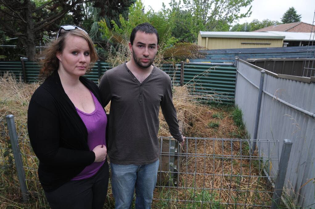 "DISTURBING": Jessica Scoins and Zac French's Staffordshire bull terrier Indi was stolen and tortured before its remains were returned to their Orange backyard three weeks later. Photo: STEVE GOSCH