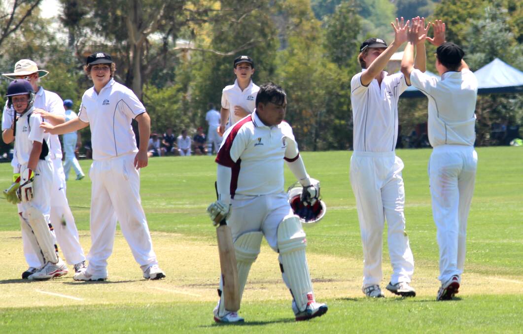 Mitchell celebrate a wicket against Shoalhaven at Sir Jack Brabham Park on Tuesday. Photo: MELISE COLEMAN