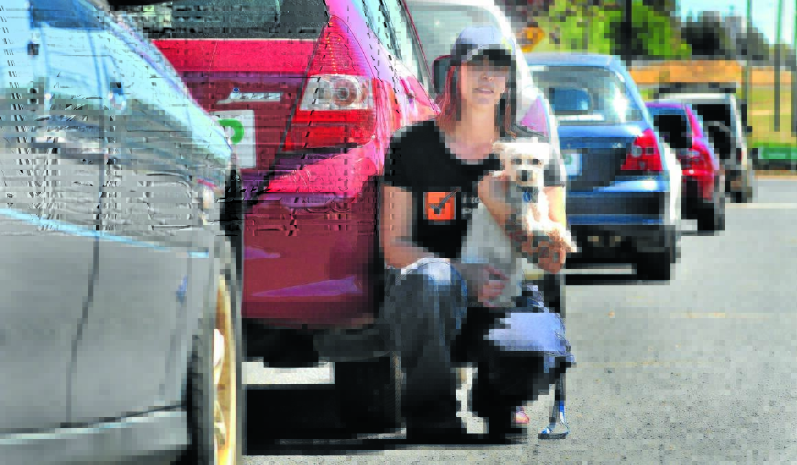 COOL CAMPAIGN: RSPCA animal attendant Carly Hudson, with eight-year-old Tyson, supports the organisation’s push to remind people of the dangers of animal heat exhaustion in cars. Photo: STEVE GOSCH                                                                           0130sgrspca1