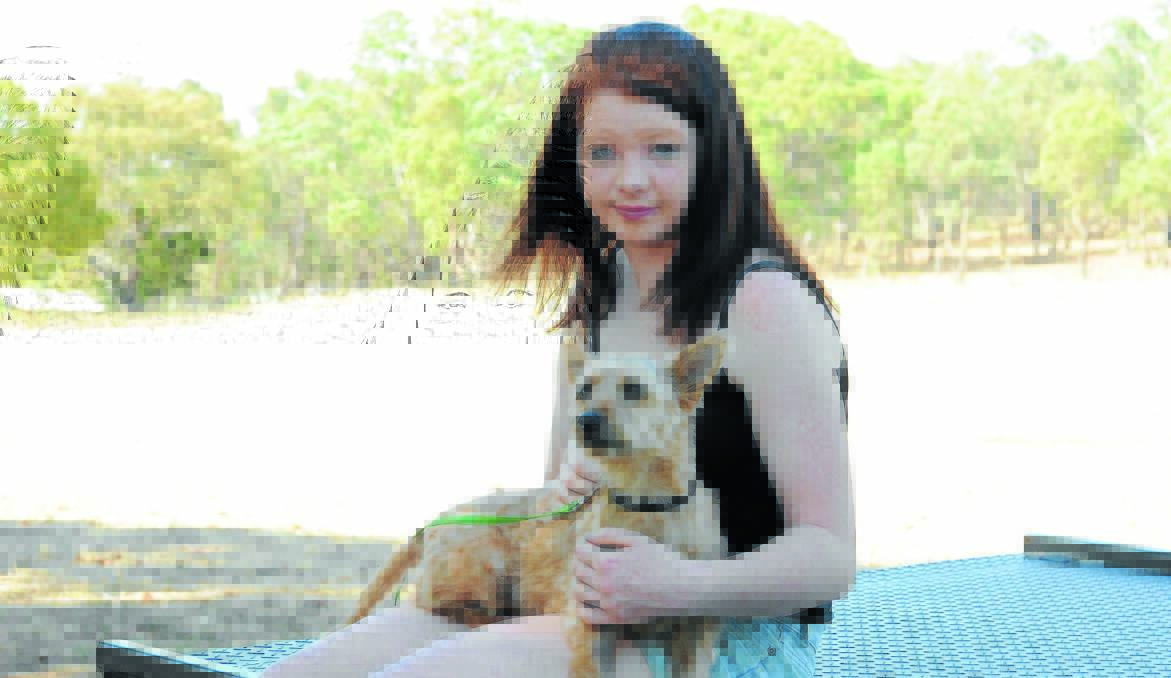 LUCKY NOODLES: Brooke Donelly hopes the Cargo community will rally behind her fundraising campaign to help pay Noodles’ veterinary bill after he was hit by a car. Photo: JUDE KEOGH 1221cardog1