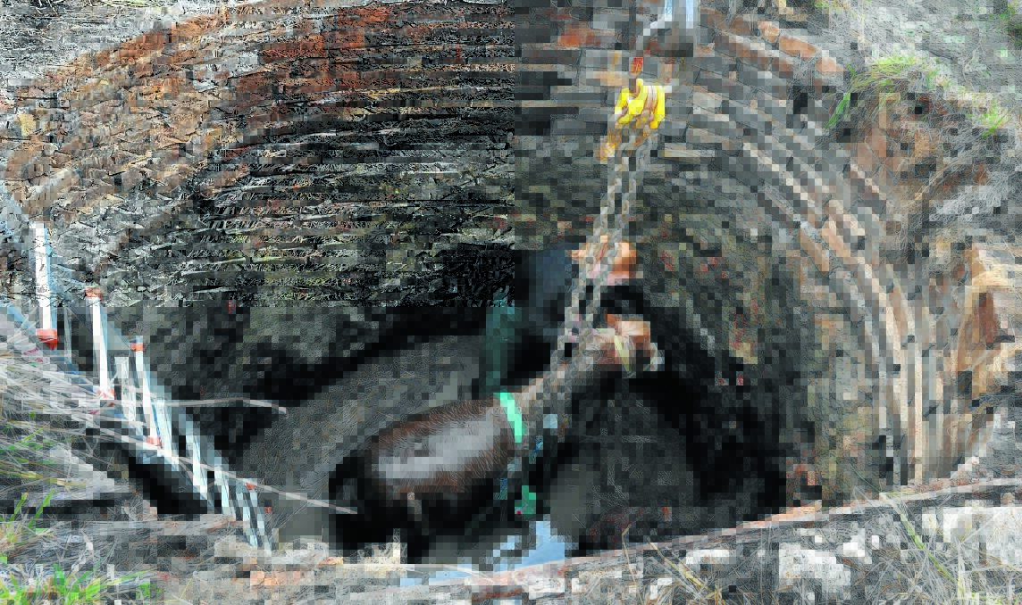HELP AT HAND: Veterinary surgeon Kate Burnheim from Orange Veterinary Hospital climbed into the bottom of the well to treat Welsh pony Fuzz yesterday morning after he fell down a well on a Cadia Road property on Monday night. Photos: STEVE GOSCH   0521sgpony1
