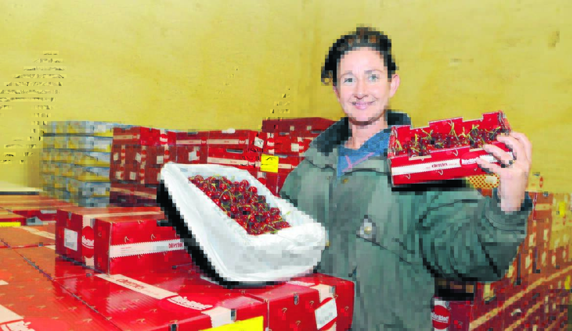 POSITIVE PARTNERSHIP: Caernarvon Orchard’s Fiona Hall is thrilled Woolworths North Orange have struck up a deal to sell her cherries. Photos: STEVE GOSCH 1205sgcherries