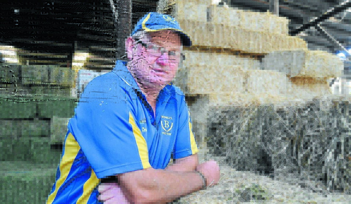TOUGH TIMES: Chris Frisby from Bedwell’s Feed Barn in Bathurst: “There’s old-timers saying the seasonal conditions are the worst they’ve ever seen ... even worse than the drought back in 1982.”  Photo: BRIAN WOO D 013114bwchris 