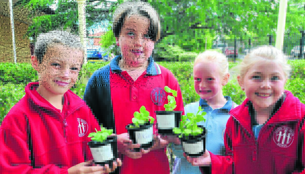 FOOD FOR THOUGHT: Year 2/3 students Lokhlan Harvey, McKenzie Ewins, Natasha Hanley and Jorden Theobald-Williams can’t wait to get their hands dirty in the new Bowen’s Bounty vegetable garden. Photo: JUDE KEOGH                                                                1205bowen1