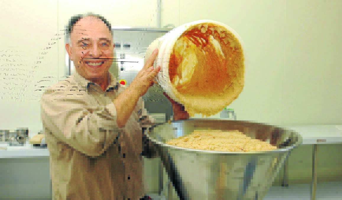 NO LONGER IN THE MIX: John Di Francesca trials a macadamia paste at the Gelato Ingredients Manufacturers of Australia factory in Molong in 2008. Photo: JUDE KEOGH                                              0617gelato2
