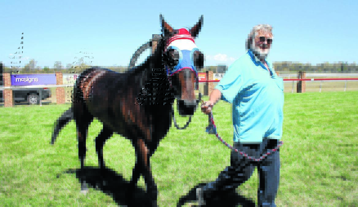 SHOWING OFF: Belfrey Bat is paraded by owner Alex Van Den Bos after yesterday’s win. Photo: MICHELLE COOK                                                          1229mcraces3