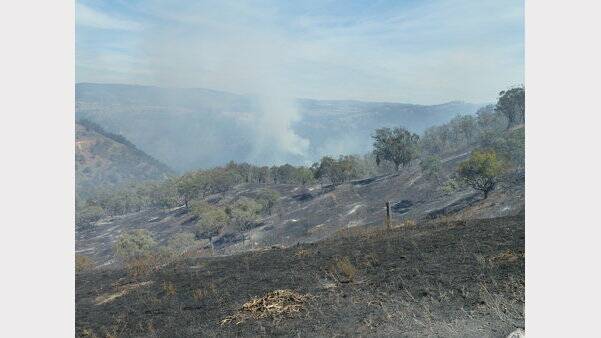 The fire at Long Point Crossing near Mullion Creek north of Orange. Photo: Matt Sutton. 