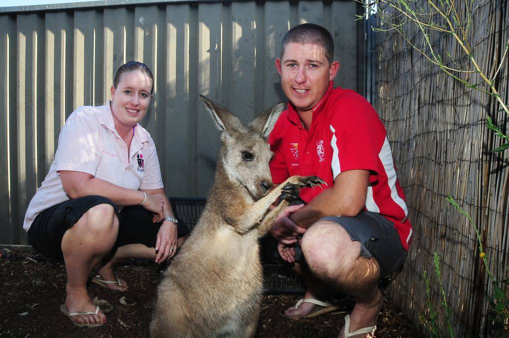 DUBBO: WIRES volunteers Michelle Crawford and Tim Howarth with a joey they will nurse until ready to be released.	Photo: BELINDA SOOLE