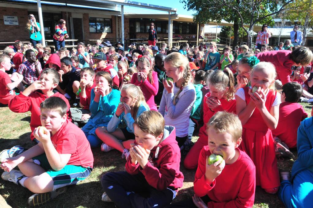 Students at St Mary's Catholic School joined in The Big Crunch at 11am on May 10 to celebrate Orange's Apple Festival. Photo Jude Keogh