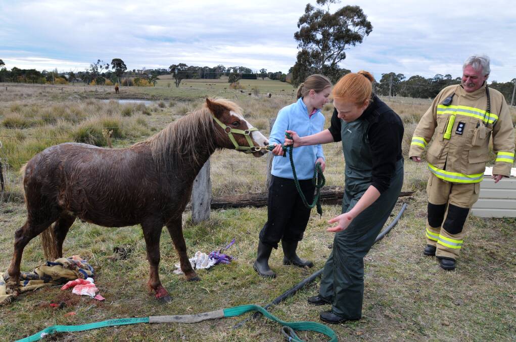 Vet Kate Burnheim (centre) and owner Stephanie Danis check Fuzz, a two-year-old Welsh mountain pony,  after being lifted to safety from a well on a property near Orange. Photo: Steve Gosch 