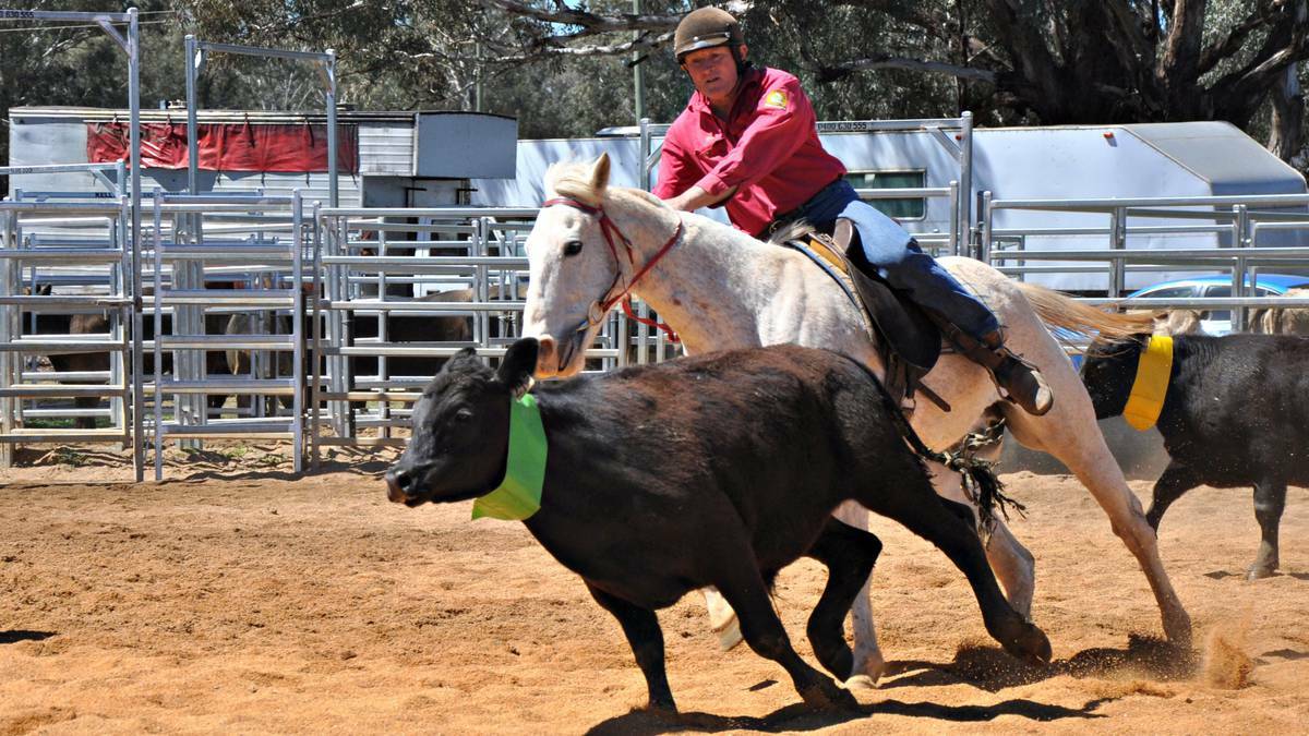CANOWINDRA: Competitors came from Forbes, Boorowa, Parkes and further for the Team Penning event at the Canowindra Show.