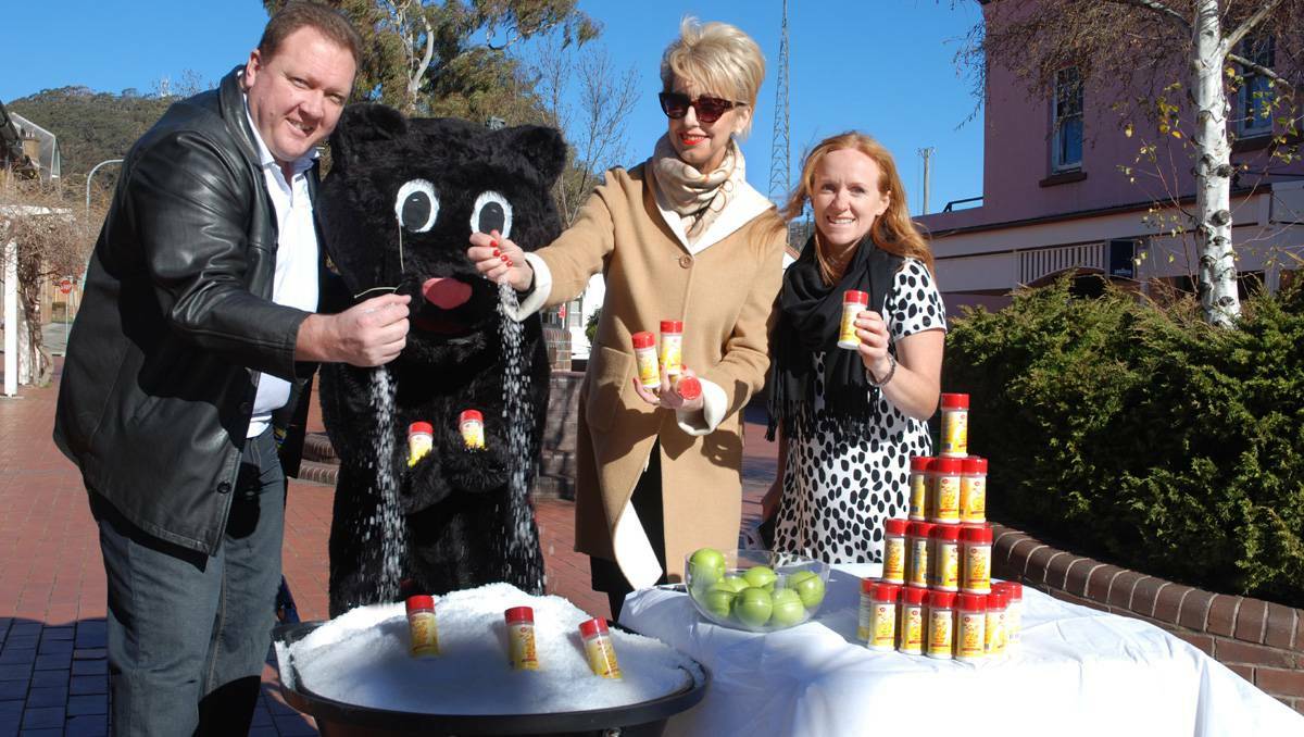 LITHGOW: Making for a healthier lifestyle with a salt-swap initative are Nu-Tek’s Jason Cummings and Mary-Anne Land with Lithgow mayor Maree Statham and the Lithgow Black Panther. Photo: JEFF GEDDES lm081413salt