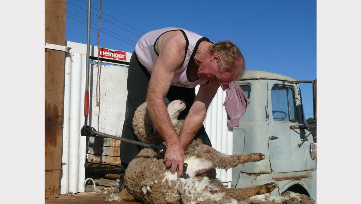 PARKES: The shearing display was a hit at the Trundle Show.