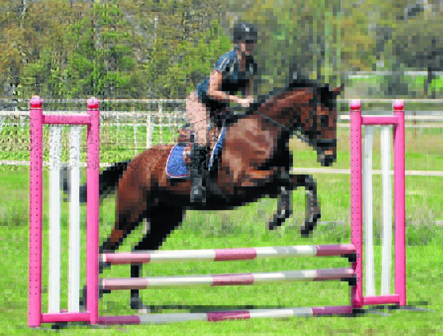 RIDING HIGH: Ally Wangman makes a jump on Gus during the Orange Equestrian Club's Dressage and Showjumping Day on Sunday. Photo: CONTRIBUTED