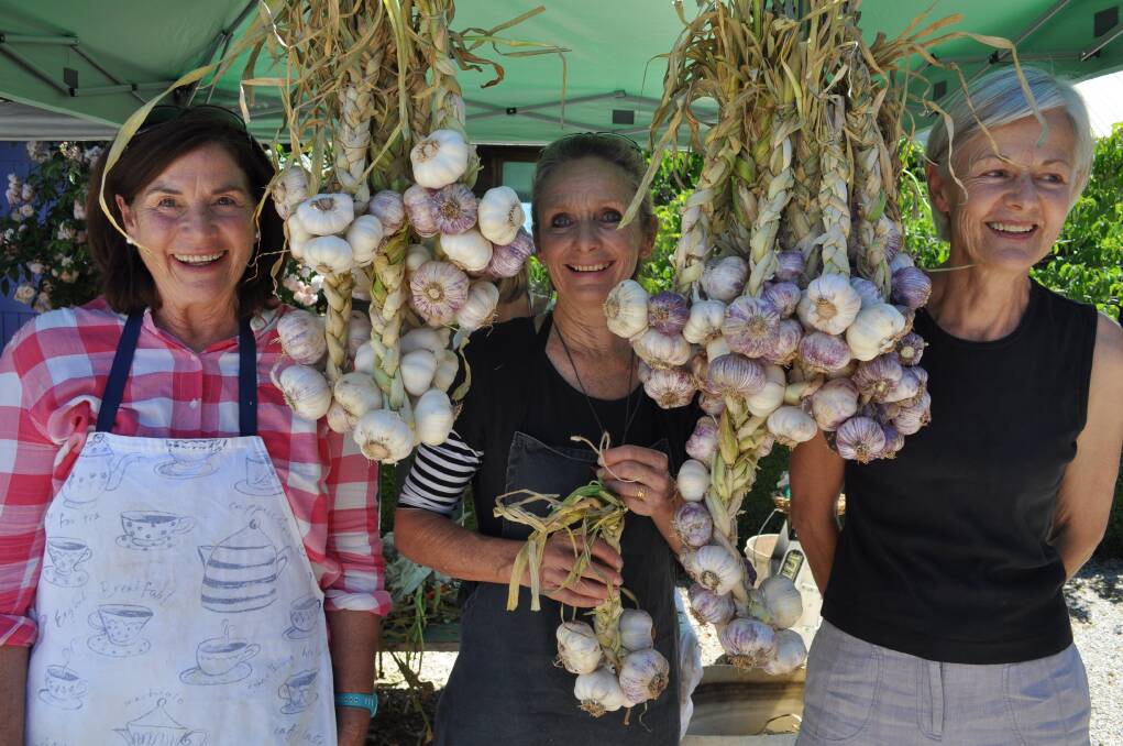 FESTIVAL: Garlic enthusiasts (from left) Rhonda Gordon, Marnie Mason and Libby Morgan prepare for the Garlic Harvest Festival in Orange on Sunday. Photo: NICK McGRATH 											              1203nmgarlic2