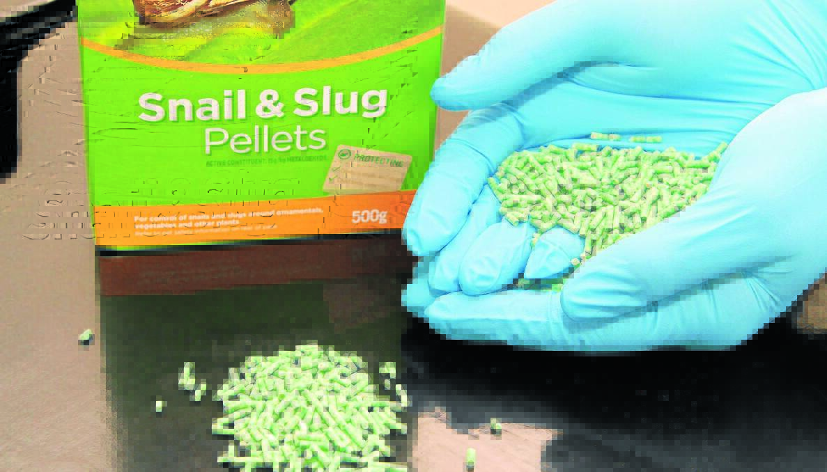 DANGER: Pet owners should be careful when using snail bait around the home.